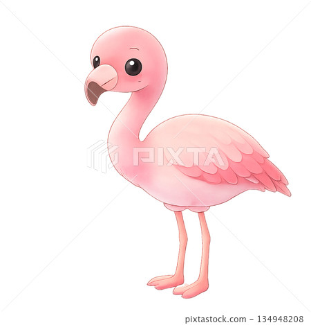 Flamingo illustration 134948208