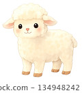 羊圖 134948242