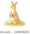 袋鼠的插圖 134948263