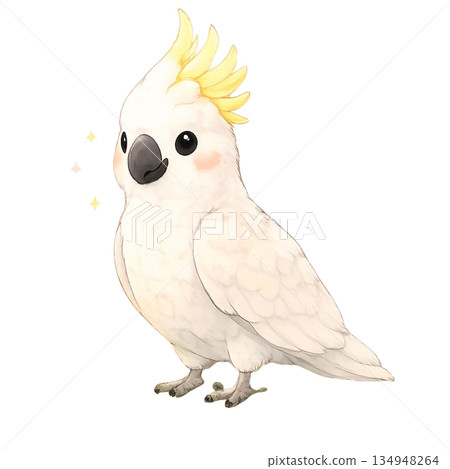 鸚鵡插圖 134948264