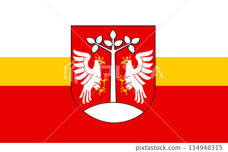 The flag of Myslynytsky District 134948315