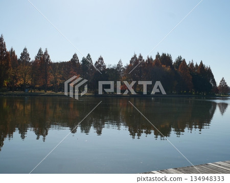 水面 水面 134948333
