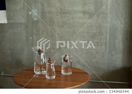 I started hydroponic cultivation in a glass container. I started hydroponic cultivation in a glass container. 134948344