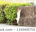 Cat jump 134948750