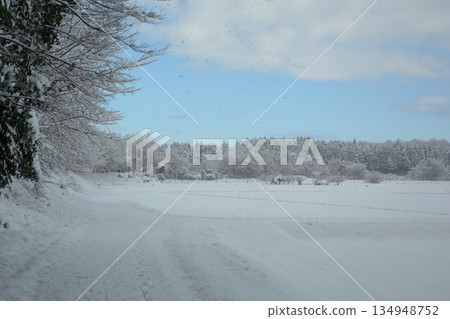 積雪的田野 積雪的田野 134948752