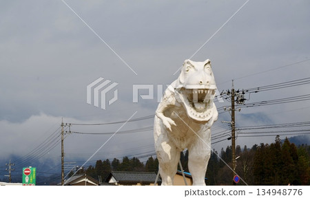 陰天中的白龍 134948776