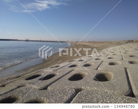 在凱米加瓦濱海岸覓食的磯鷸、黑頭鷗和銀鷗 在凱米加瓦濱海岸覓食的磯鷸、黑頭鷗和銀鷗 134948780