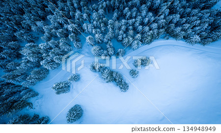 Aerial view of a snow-covered forest in winter mountains Aerial view of a snow-covered forest in winter mountains 134948949