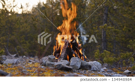 Beautiful Crackling Campfire in a Rocky Landscape among the Pines, Sunrise , Authentic Place Beautiful Crackling Campfire in a Rocky Landscape among the Pines, Sunrise , Authentic Place 134948984