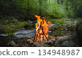 Crackling Campfire in a Spring Mountain Forest with Stream , Authentic Place Crackling Campfire in a Spring Mountain Forest with Stream , Authentic Place 134948987