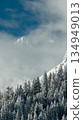 Panorama view of a snow-covered high mountains in Austria Alps Panorama view of a snow-covered high mountains in Austria Alps 134949013