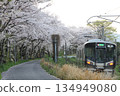 JR train passing by cherry blossom trees 134949080