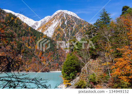 Taira, Omachi City, Nagano Prefecture - The vibrant milky blue autumn leaves of the Takase Dam regulating lake and the snow-capped mountains against the blue sky Taira, Omachi City, Nagano Prefecture - The vibrant milky blue autumn leaves of the Takase Dam regulating lake and the snow-capped mountains against the blue sky 134949152