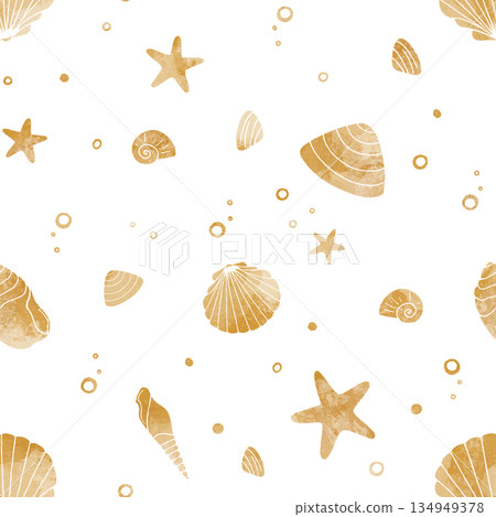 pattern, seashell, shell 134949378