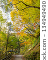 Nishizawa Valley with vibrant autumn leaves Nishizawa Valley with vibrant autumn leaves 134949490