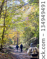 Nishizawa Valley with vibrant autumn leaves Nishizawa Valley with vibrant autumn leaves 134949491