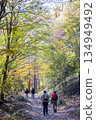 Nishizawa Valley with vibrant autumn leaves Nishizawa Valley with vibrant autumn leaves 134949492