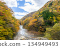 Nishizawa Valley with vibrant autumn leaves Nishizawa Valley with vibrant autumn leaves 134949493