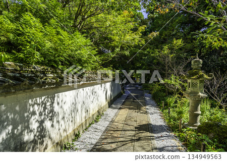 28th of the 88 Shikoku Temples: Dainichi-ji Temple, Path to the Inner Sanctuary, Konan City, Kochi Prefecture 134949563