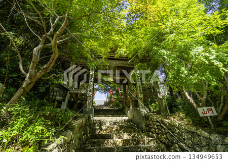 四國八十八座寺廟之二十八：大日寺寺門，高知縣江南市 134949653