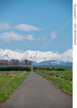 春天通往雪山的草路 134949702