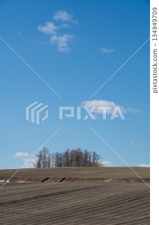 Spring fields and blue sky Spring fields and blue sky 134949709