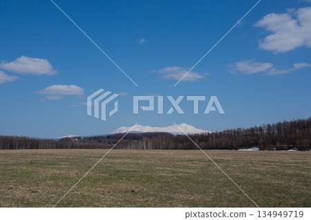 牧場和雪山在陽光明媚的春日大雪山 134949719
