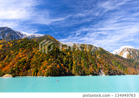 Taira, Omachi City, Nagano Prefecture - The vibrant milky blue autumn leaves of the Takase Dam regulating lake and the snow-capped mountains against the blue sky Taira, Omachi City, Nagano Prefecture - The vibrant milky blue autumn leaves of the Takase Dam regulating lake and the snow-capped mountains against the blue sky 134949763