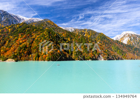 Taira, Omachi City, Nagano Prefecture - The vibrant milky blue autumn leaves of the Takase Dam regulating lake and the snow-capped mountains against the blue sky Taira, Omachi City, Nagano Prefecture - The vibrant milky blue autumn leaves of the Takase Dam regulating lake and the snow-capped mountains against the blue sky 134949764