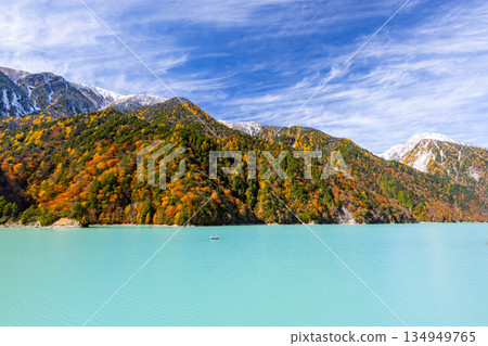 Taira, Omachi City, Nagano Prefecture - The vibrant milky blue autumn leaves of the Takase Dam regulating lake and the snow-capped mountains against the blue sky Taira, Omachi City, Nagano Prefecture - The vibrant milky blue autumn leaves of the Takase Dam regulating lake and the snow-capped mountains against the blue sky 134949765