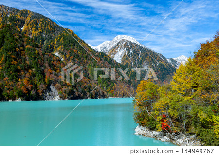 Taira, Omachi City, Nagano Prefecture - The vibrant milky blue autumn leaves of the Takase Dam regulating lake and the snow-capped mountains against the blue sky Taira, Omachi City, Nagano Prefecture - The vibrant milky blue autumn leaves of the Takase Dam regulating lake and the snow-capped mountains against the blue sky 134949767
