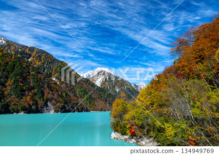 長野縣大町市平良－高瀨水壩調節湖的秋葉呈現出鮮豔的乳藍色，遠處是白雪皚皚的山峰，映襯著蔚藍的天空。 134949769