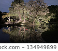 小石川後樂園燈光秀 134949899