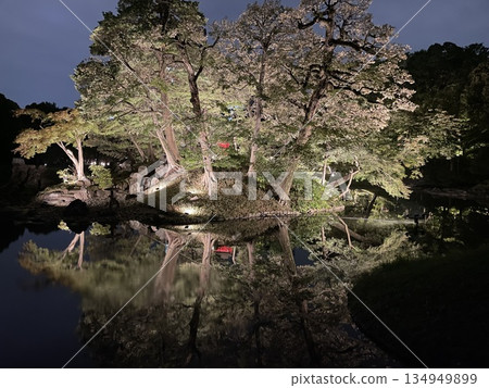Illumination of Koishikawa Korakuen Garden Illumination of Koishikawa Korakuen Garden 134949899