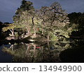小石川後樂園燈光秀 134949900