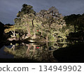 小石川後樂園燈光秀 134949902