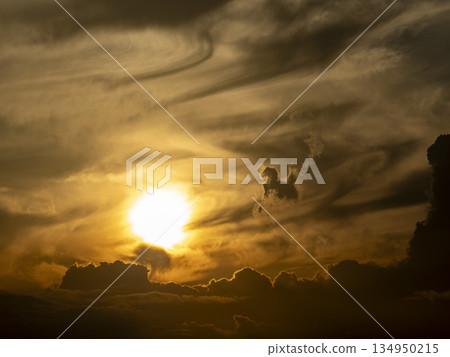 A cloud shaped like a horse heading towards the sun in the sunset clouds 134950215