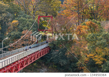 新城市櫻淵公園（愛知縣） 134950364