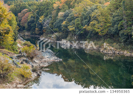 新城市櫻淵公園(愛知縣) 新城市櫻淵公園(愛知縣) 134950365