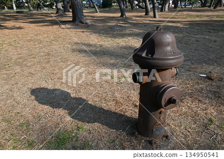 An old fire hydrant sculpture in the pine forest of Hamadera Park, Osaka Prefecture An old fire hydrant sculpture in the pine forest of Hamadera Park, Osaka Prefecture 134950541
