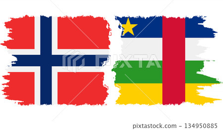 Central African Republic and Norwegian grunge flags connection vecto 134950885