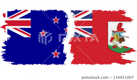 Bermuda and New Zealand grunge flags connection vector 134951007