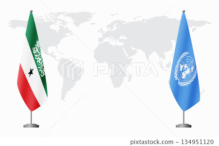 Somaliland and United Nations flags for official meeting 134951120