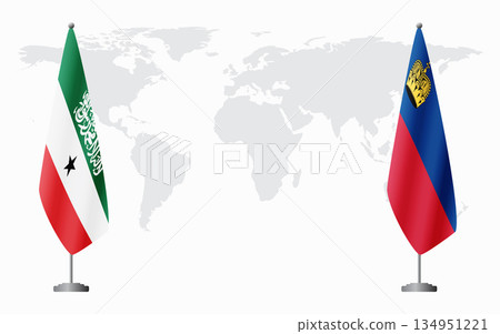 Somaliland and Liechtenstein flags for official meeting 134951221
