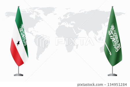 Somaliland and Saudi Arabia flags for official meeting 134951284