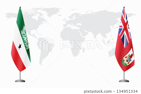 Somaliland and Bermuda flags for official meeting Somaliland and Bermuda flags for official meeting 134951334