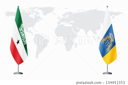 Somaliland and Canary Islands flags for official meeting 134951353