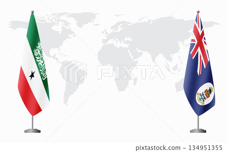 Somaliland and Cayman Islands flags for official meeting 134951355