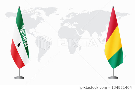 Somaliland and Guinea flags for official meeting 134951404