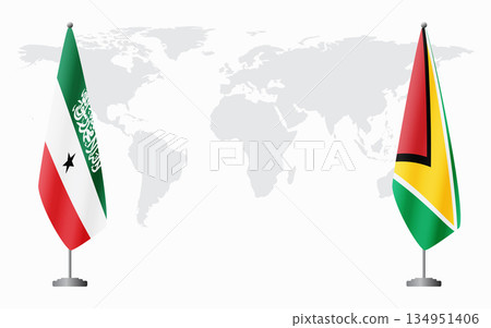Somaliland and Guyana flags for official meeting 134951406